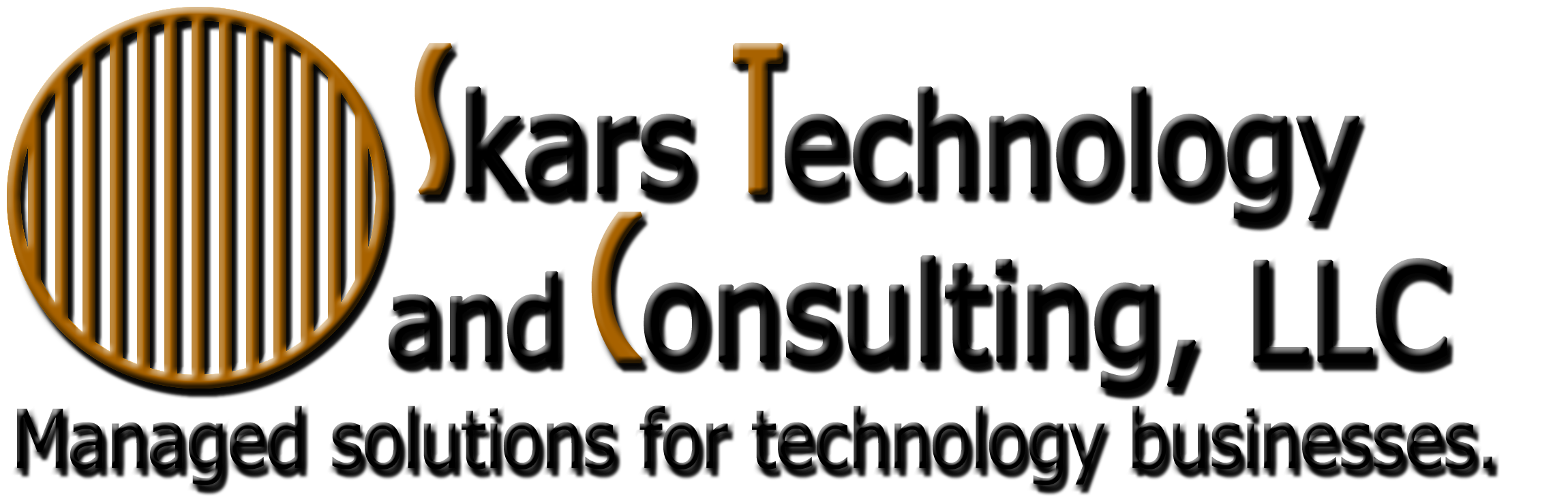 Skars Technology and Consulting, LLC.